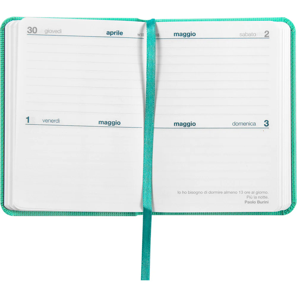 Agenda-comix-bigiornaliera-2026-mini-tiffany (2)