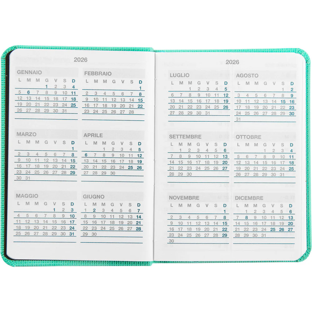 Agenda-comix-bigiornaliera-2026-mini-tiffany (4)