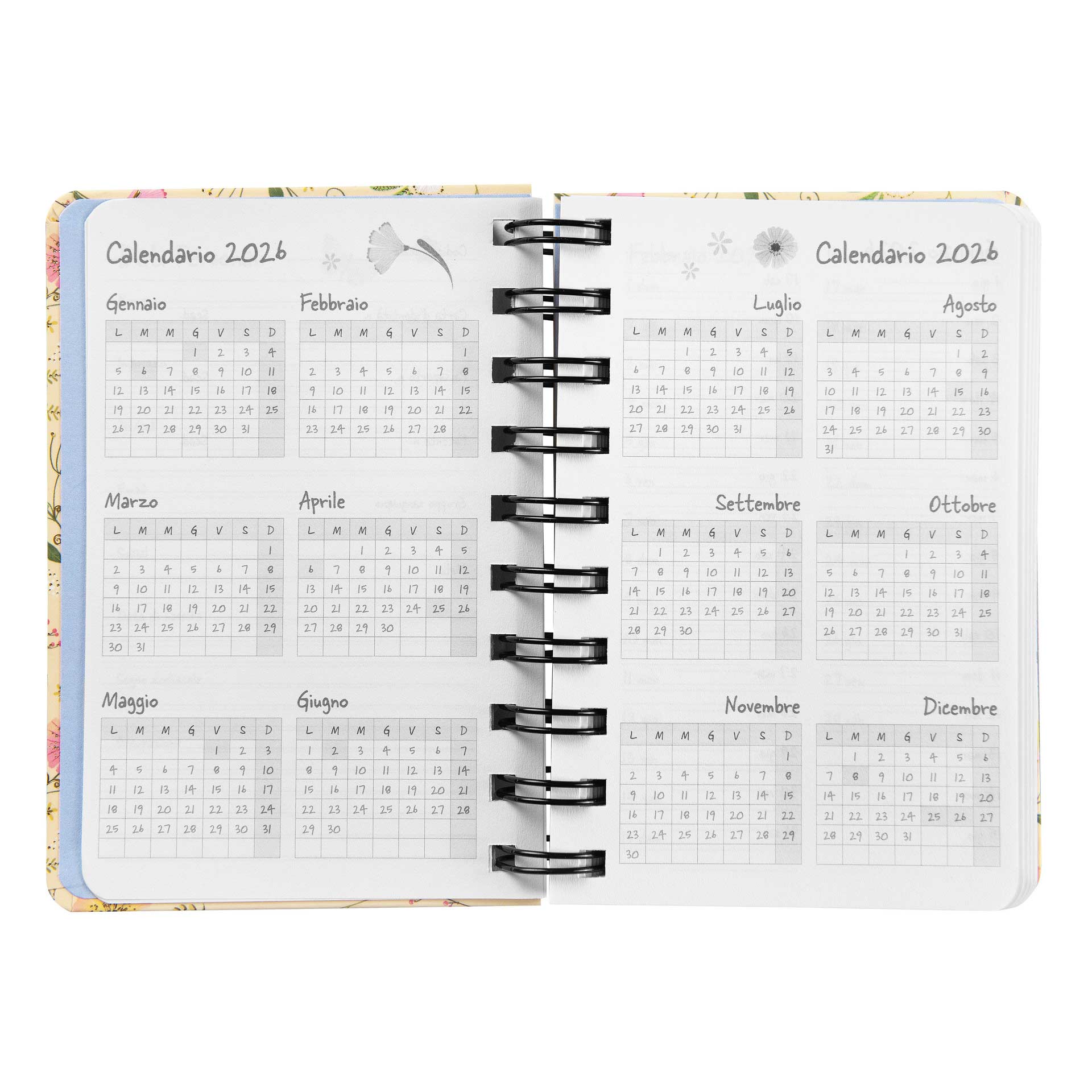 Agenda-spiralata-giornaliera-2026-turnowski-mini-uccellini (3)