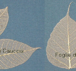 Stock 13 buste Foglie disidratate per decorazione Renkalik