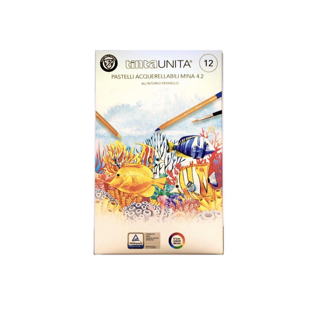 Pastelli-acquerellabili-da-12-pezzi-mina-4.2-tinta-unita