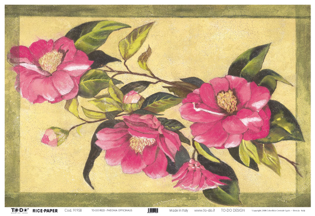 carta-di-riso peonie